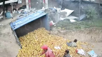It’s All About Corn