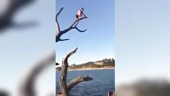 Jump From A Dead Tree
