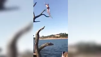 Jump From A Dead Tree