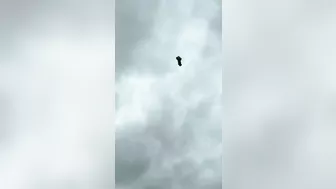 Recently Released Footage From Star Trek