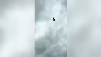 Recently Released Footage From Star Trek