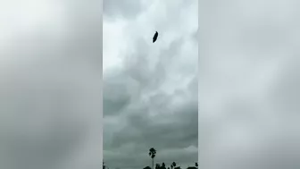Recently Released Footage From Star Trek