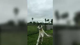 Recently Released Footage From Star Trek