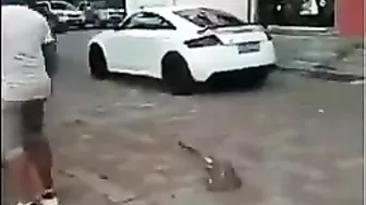 Karma And Spades