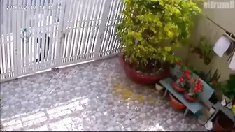 Broken Legs - Instant Karma For Thieves