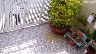 Broken Legs - Instant Karma For Thieves