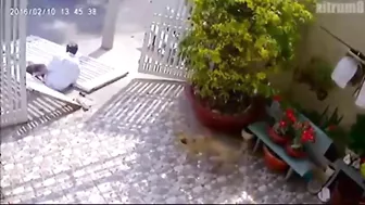 Broken Legs - Instant Karma For Thieves