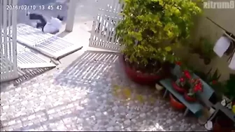 Broken Legs - Instant Karma For Thieves