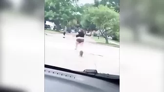 Little Badger Versus Fat Woman
