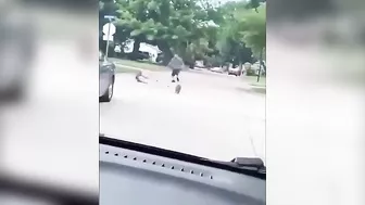 Little Badger Versus Fat Woman