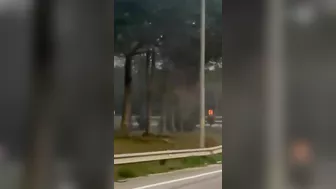 Truck Burned