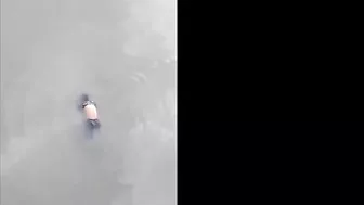 Malaysian Man Dies After Jumping From High Bridge