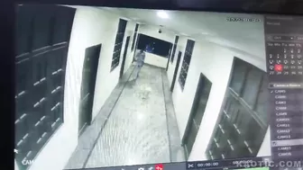 Man Falls While Chasing Dog