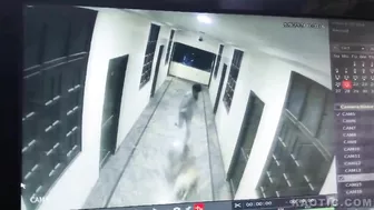 Man Falls While Chasing Dog