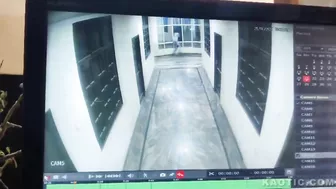 Man Falls While Chasing Dog