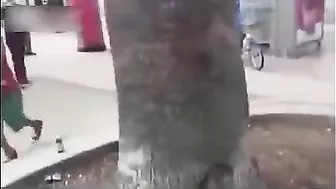 Man Attacks Old Woman, Gets Retribution Instantly