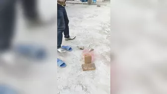Metal Shoes