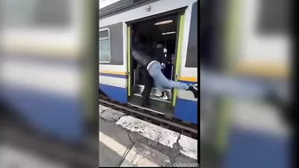 Migrants Throw Ticket Inspector Off Train