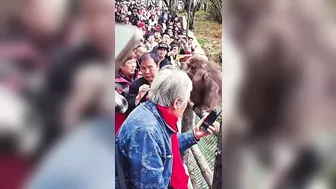 Monkey Tries To Bite Wrong Person's Face Off