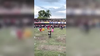 Idiots Can't Last More Than A Second Fighting A Bull