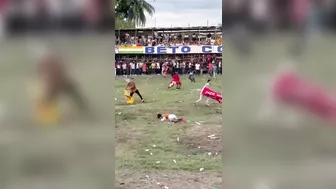Idiots Can't Last More Than A Second Fighting A Bull