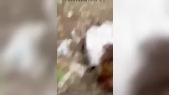 Idiot Girl Doing TikTok Stunt Near Railroad Tracks