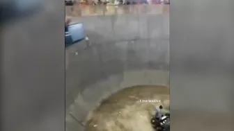 "Idiots Doing Car Stunts" - Darwin Takes Centre Stage