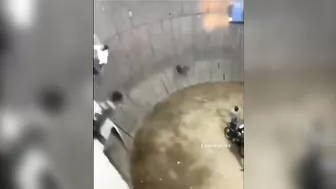 "Idiots Doing Car Stunts" - Darwin Takes Centre Stage