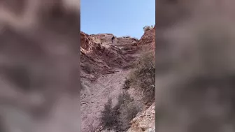 Mountain Biker Breaks Neck, Crashes Headfirst Into Hill