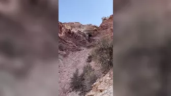 Mountain Biker Breaks Neck, Crashes Headfirst Into Hill