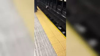New York Is Crazy