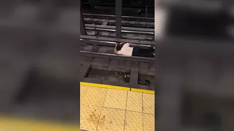 New York Is Crazy