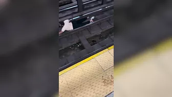 New York Is Crazy