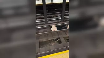 New York Is Crazy