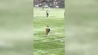 Naked Women Have Found A Great Way To Attract Tons Of Attention