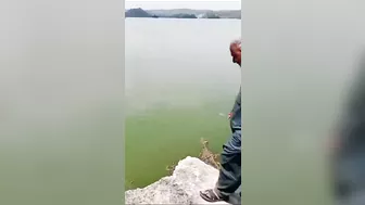 Great Place For Taking Photos