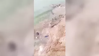 Great Place For Taking Photos