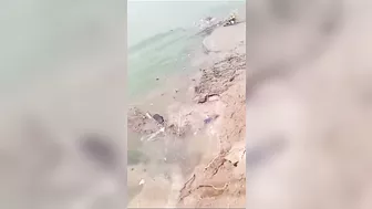 Great Place For Taking Photos