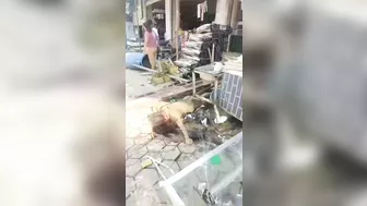 Out-of-control Pickup Truck Crushes Everything In Its Path