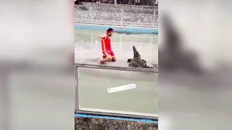 Another Victim At Pattaya Crocodile Exhibition