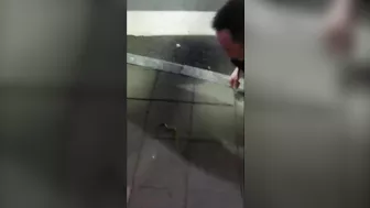 Playing With China's Most Venomous Snake Is Not A Good Idea