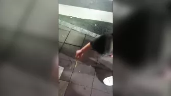 Playing With China's Most Venomous Snake Is Not A Good Idea