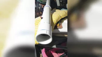 Potato Gun Test