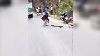 Professional Snake Charmer