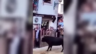 Rage The Bull And Win Silly Prizes