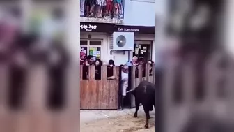 Rage The Bull And Win Silly Prizes