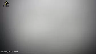 Hit Someone While Watching The U-Haul