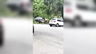 Controversy Among New UK Citizens Over Road Violations