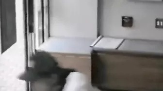 Robber Thought He Was Locked In Bank And Was Nearly Defeated By Door