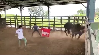 Rodeo Rider Jumps His Final Rodeo
